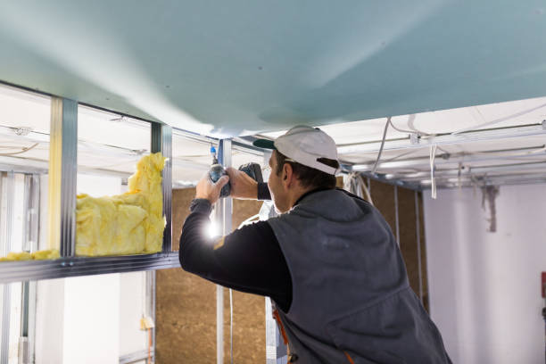 Professional Foam Insulation Services in Potosi, TX